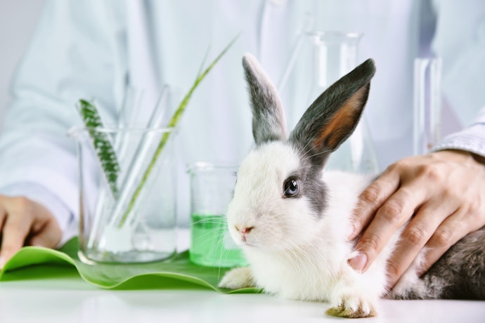 Se a Causa Animal é Importante para Você, Escolha Produtos Veganos e Cruelty-free