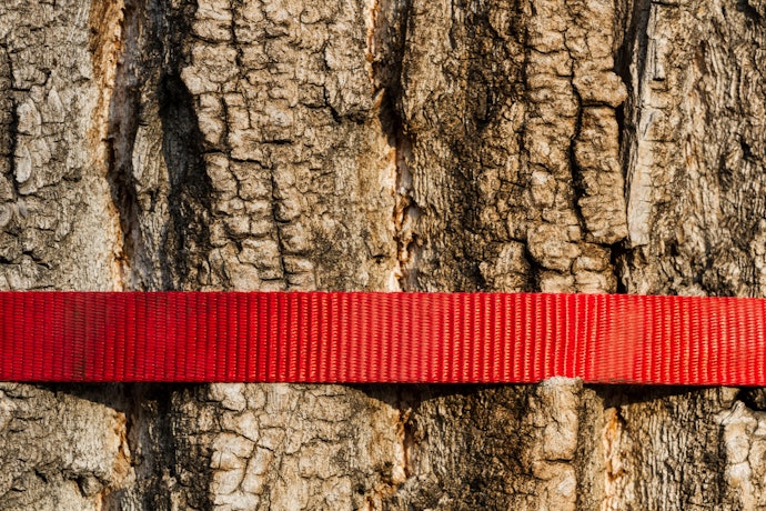 Considere os Slacklines com Itens Adicionais, como Protetor de Árvore e Backup