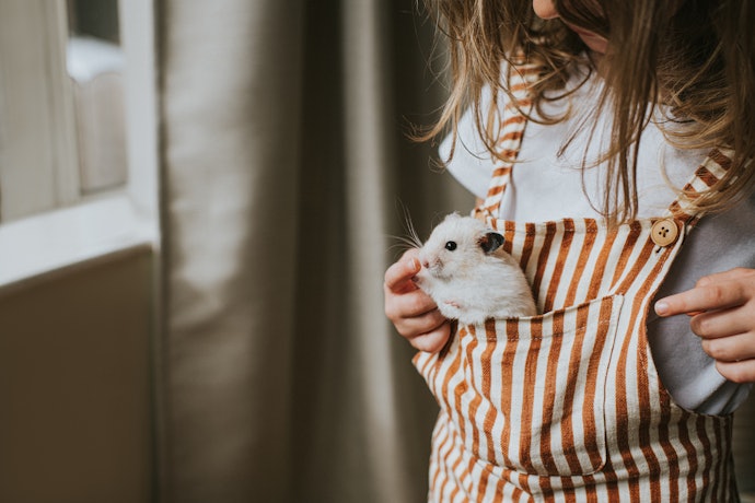 Escolha o Produto Cruelty-Free e Vegano para Cuidar da Beleza Sem Afetar os Bichinhos