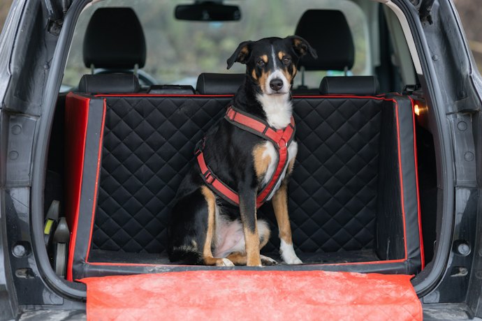 Para Cães Grandes, uma Capa Protetora para Porta Malas É o Ideal