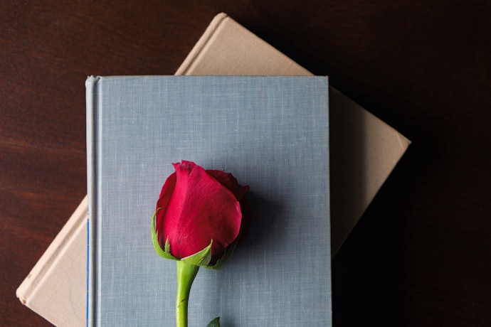 Livros de Romance com Capa Dura São Mais Duráveis