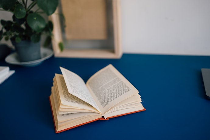 Observe o Número de Páginas dos Livros de Mário Quintana