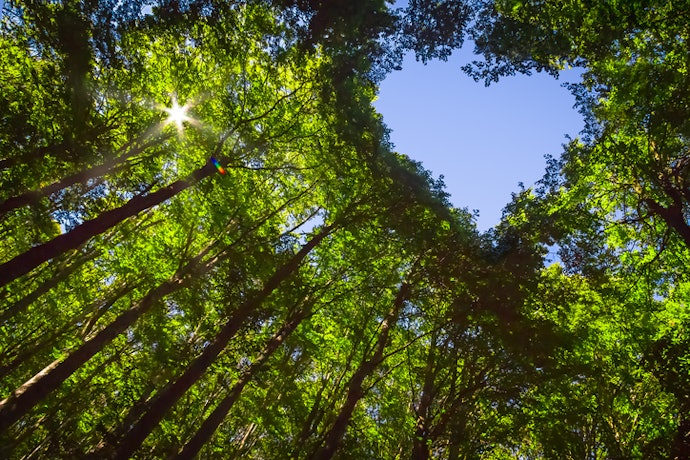 Confira se a Argila Possui Selos que Garantem a sua Qualidade e Sustentabilidade