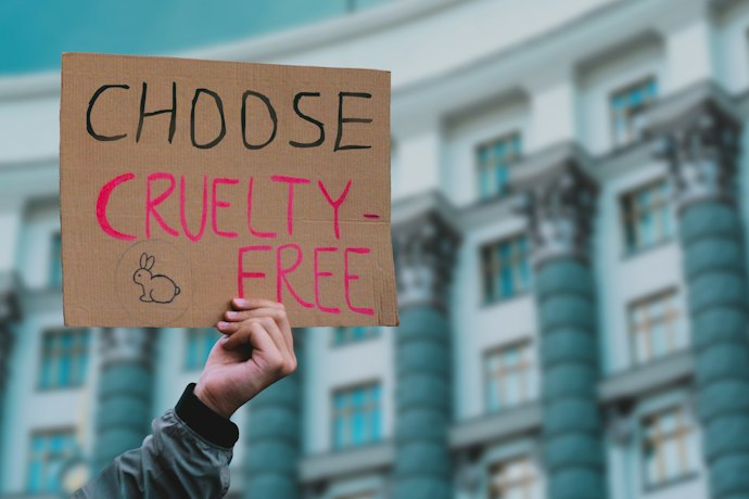Para Ajudar na Causa Animal, Prefira Cremes Depilatórios para Virilha Cruelty-Free