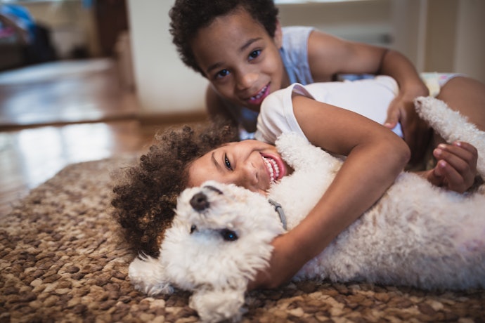 Verifique se o Veneno para Baratas Não Faz Mal para Pets e Crianças