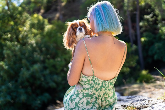 Produtos Cruelty-Free e Veganos Ajudam a Combater o Sofrimento dos Animais