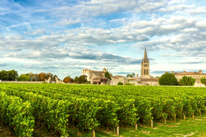 Europa e América do Sul Produzem Alguns dos Vinhos Mais Famosos do Mundo. Escolha pelo País