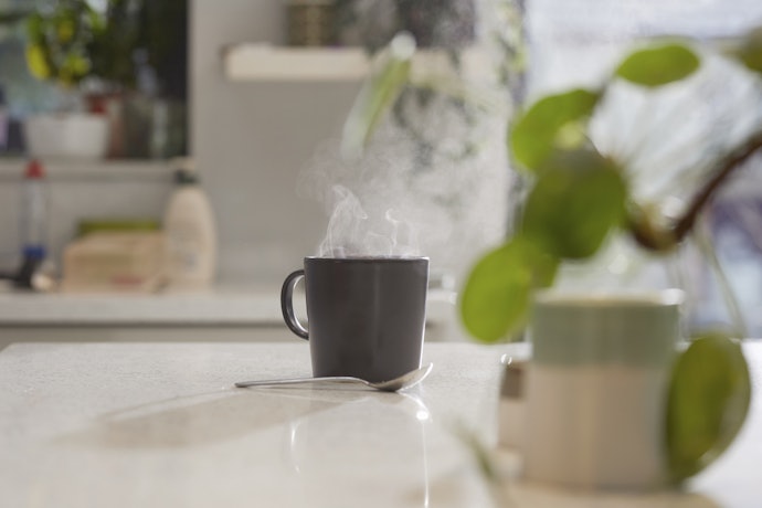 Infusores Avulsos são Versáteis, mas as Canecas com Infusor são Práticas. Considere isso!
