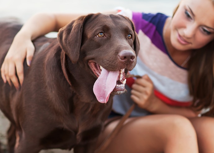 Observe o Porte do Pet: para Animais Maiores Escolha Remédios com Faixa de Peso de 25 a 60 kg