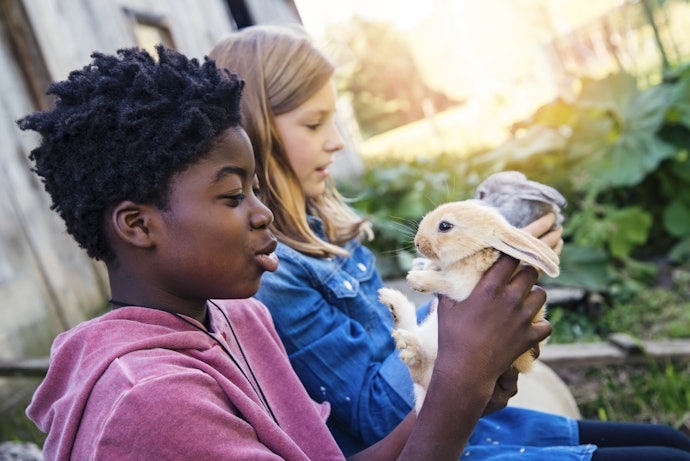 Incentive a Proteção Animal! Compre o Condicionador Infantil Cruelty-Free e Vegano