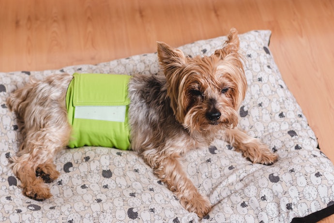 Prefira Modelos com Boa Fixação, com Adesivo ou Velcro, para Maior Conforto e Segurança