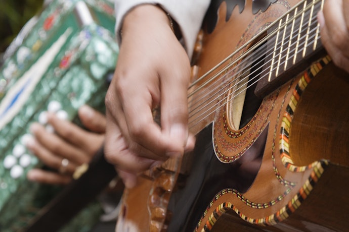 Confira se a Viola Caipira Tem Amplificação Acústica ou Eletroacústica