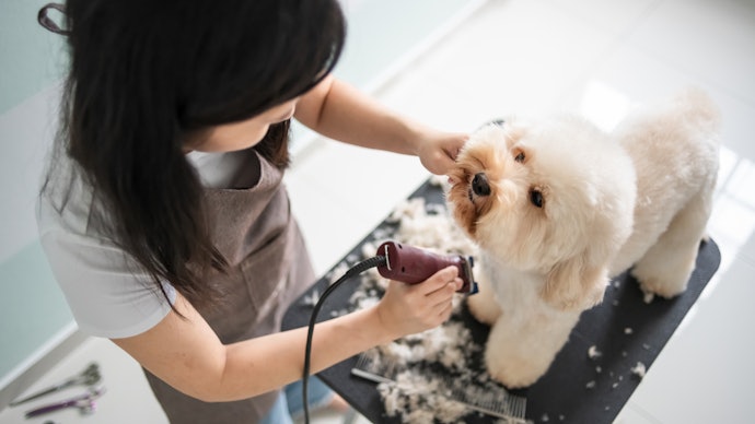É um Tosador ou Tem Muitos Cães? Prefira uma Máquina de Tosa Profissional com Lâminas Removíveis