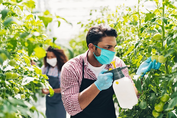Verifique Se o Modelo É Resistente a Produtos Químicos