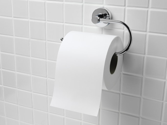 Se Busca um Modelo Resistente, Considere um Porta-Papel Higiênico em Inox