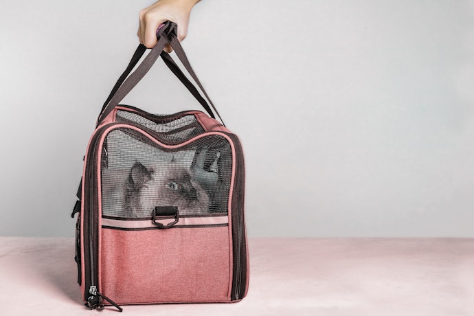 Prefira Bolsa de Transporte Pet com Materiais de Qualidade para Garantir Durabilidade