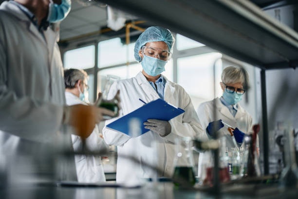 Para Maior Segurança e Qualidade, Aposte em Marcas com Certificações como ISO 22000 ou FDA
