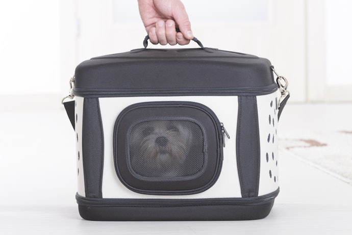 Transversal, de Mão ou Mochila? Defina o Tipo de Bolsa Mais Prática para Você