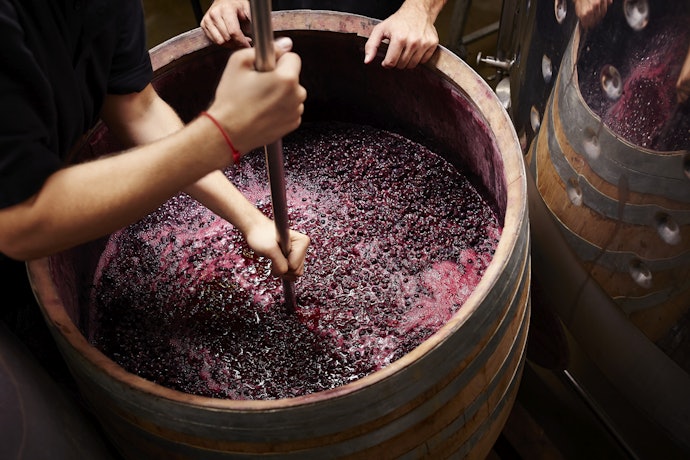 Vinhos Bag-in-Box Suaves ou Secos? Escolha de Acordo com o Sabor da Bebida