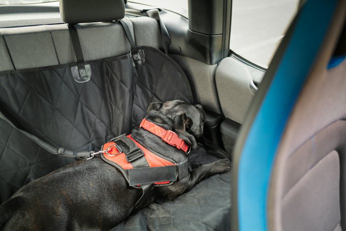 Para Evitar Imprevistos, Prefira uma Capa Protetora para Carros Pet Impermeável