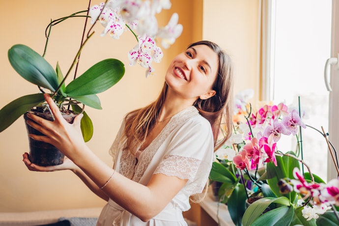 Costuma Transportar suas Orquídeas? Prefira Vasos Mais Leves