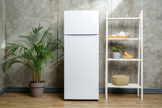 Se Quer Refrigerador e Congelador Separados, Escolha uma Geladeira Econômica Duplex