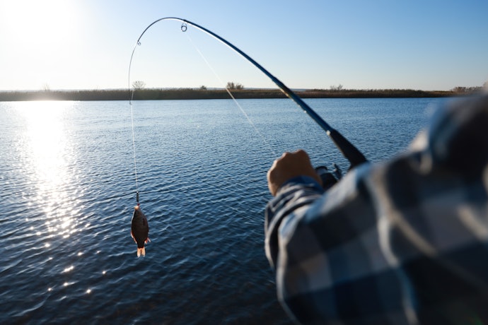 Para Evitar que a Linha Estoure Durante a Pesca, Escolha o Drag de Acordo com a Espécie-Alvo