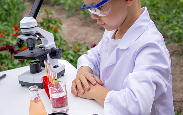 Para um Aprendizado Completo, Dê Preferência a Modelos com Kits Educativos e Acessórios