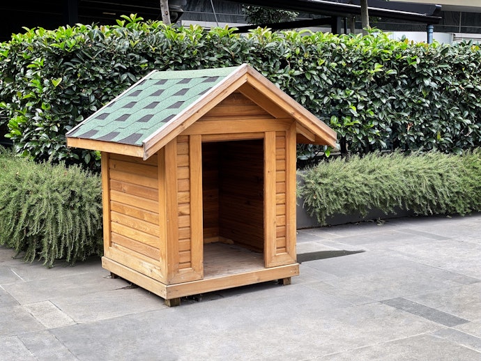 Tradicional, Iglu ou Cabana: Escolha o Formato Conforme seu Estilo