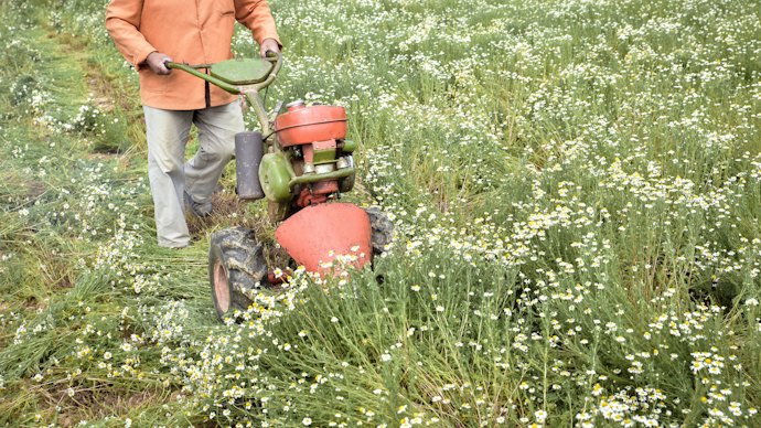Encontre a Potência Ideal para o Tamanho e o Tipo de Terreno
