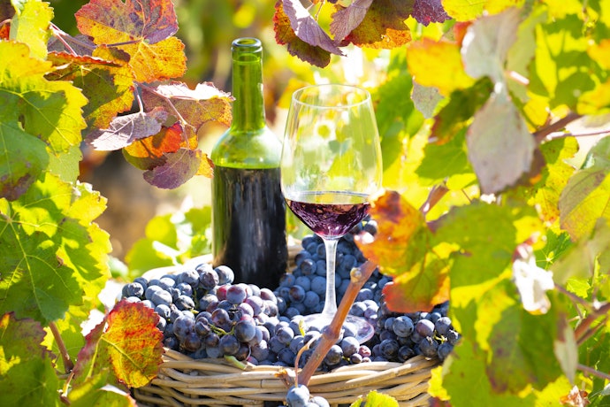 Para Apreciar o Sabor do Vinho de Uva Tempranillo, Prefira o Tipo Varietal