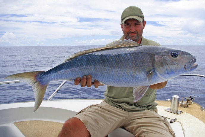 Para Peixes Grandes, Prefira Massas Firmes com Alta Fixação na Água
