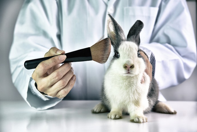 Se For Aliada da Causa Animal, Prefira Corretivos Veganos e Cruelty-Free