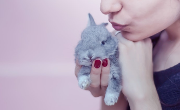 Cuide da Pele Sem Prejudicar os Bichinhos: Invista em Produtos Cruelty-Free e Veganos