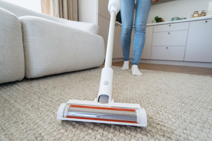 Para Ter Maior Poder de Sucção, Invista em Aspiradores com Mais de 1300 W de Potência