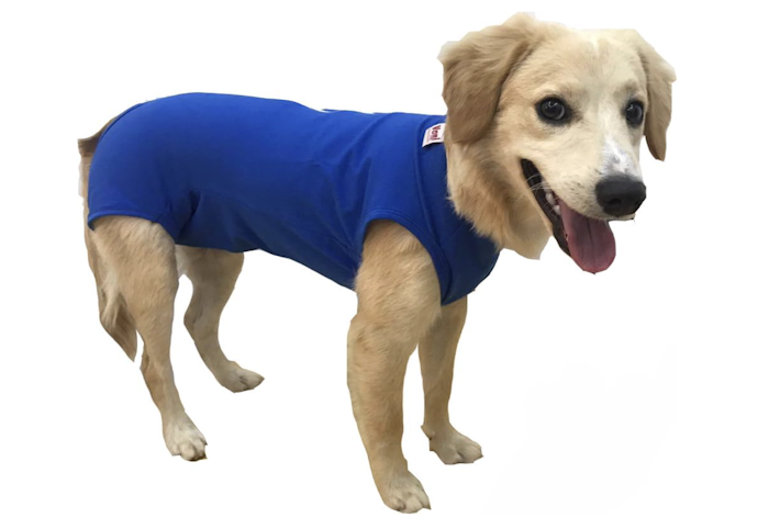 Quer Conforto para o Pet? Opte por Roupa Cirúrgica com Tecidos Macios e Flexíveis, como Algodão