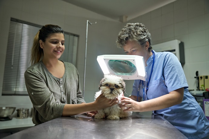 Veja Qual o Tipo de Alimentação das Lupas com Luz