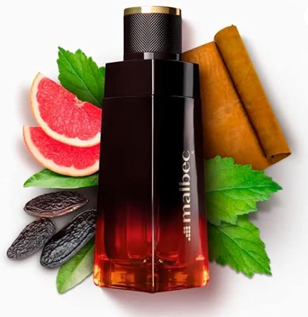 Top 10 Melhores Perfumes Malbec (Ultra, Black e mais) | mybest