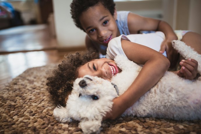 Verifique se o Veneno para Baratas Não Faz Mal para Pets e Crianças