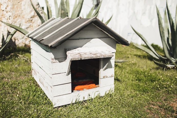 Escolha Casas com Portas de até 45 cm para Cães de Médio Porte