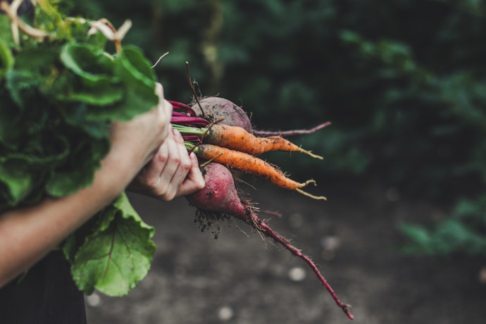 Orgânico, Natural, Vegano, Sem Glúten: o Que Significa Tudo Isso?