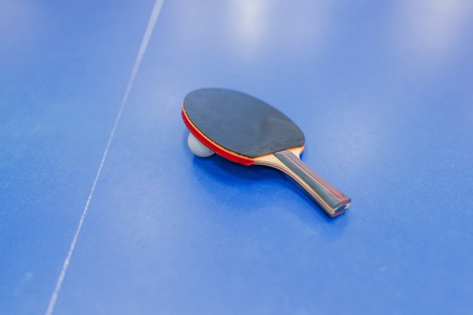 Aposte em Raquetes de Tênis de Mesa Profissionais Aprovadas pela ITTF