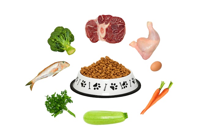 Confira se a Ração Úmida Possui os Ingredientes Essenciais para o seu Cão