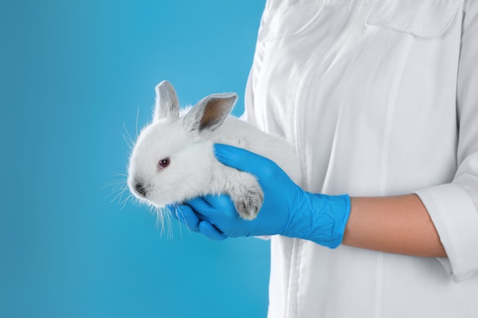 Prefira um Detergente Vegano e Cruelty-Free para Evitar o Sofrimento Animal