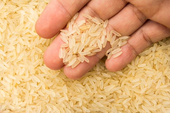 Prefira o Tipo 1 para uma Maior Quantidade de Grãos Inteiros e sem Manchas