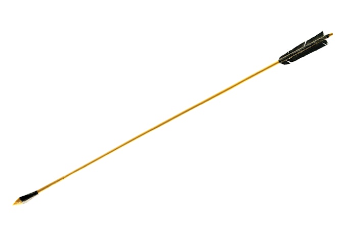 Confira se o Arco Possui Flechas ou Outros Acessórios