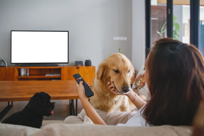 Tipo de Conexão: Verifique para Melhor Fluidez dos Dados