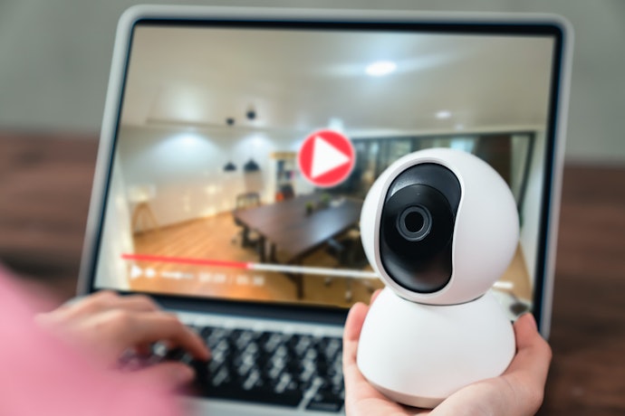 Se Busca uma Visualização Nítida, Escolha Câmera para Monitoramento Pet Full HD