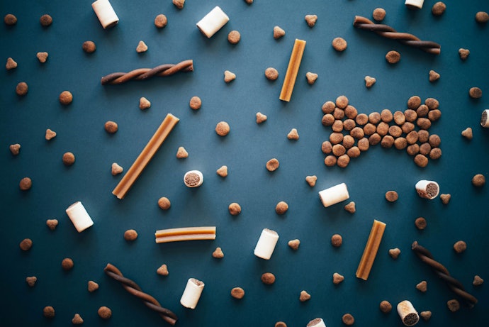 Bifinho ou Biscoito para Cachorro? Escolha a Partir do Formato e Apresentação