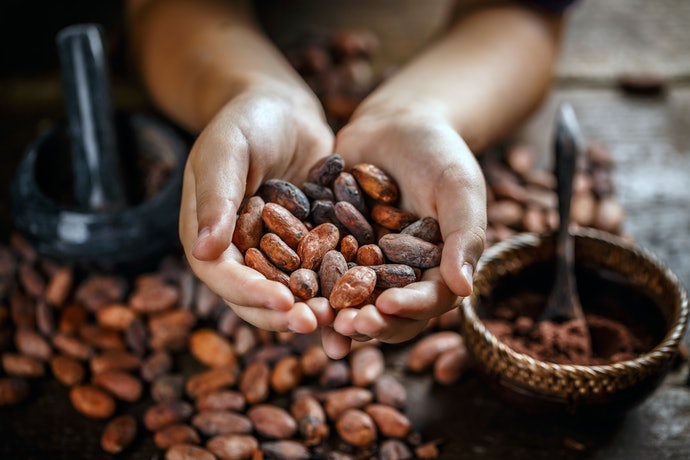 Para Comer Todos os Dias, Dê Preferência aos Orgânicos, Amargos e Meio Amargos
